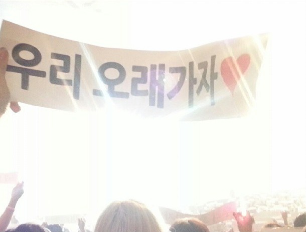 t-ara hyomin snsd 2013 concert (1)